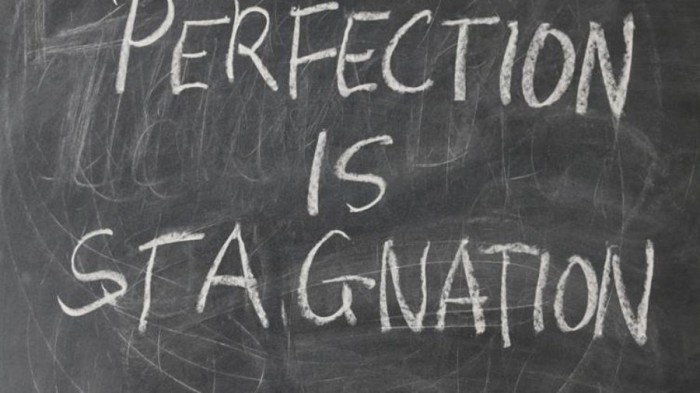 perfection-is-stagnation-900x506